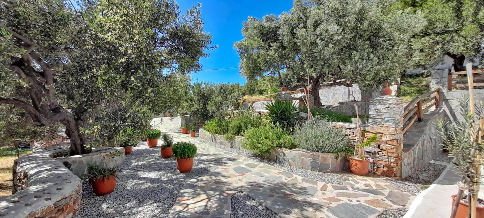 Aspra Chomata Villas Karystos  Exterior photo