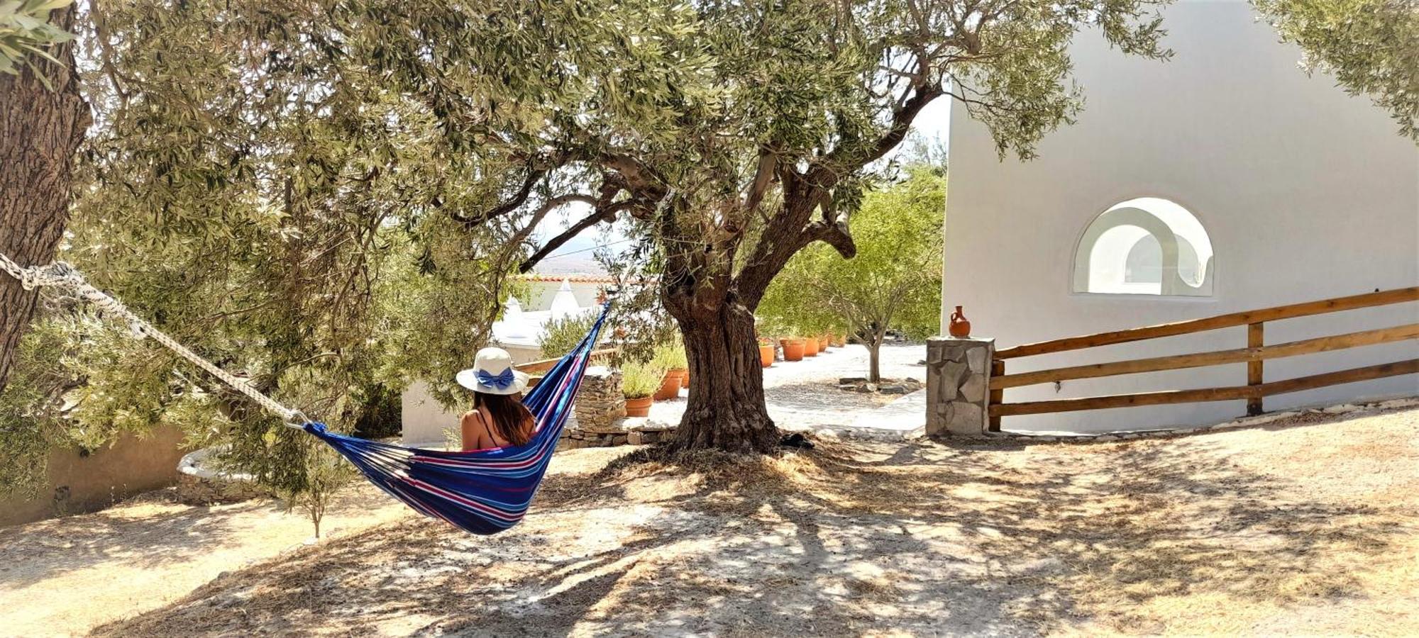 Aspra Chomata Villas Karystos  Exterior photo