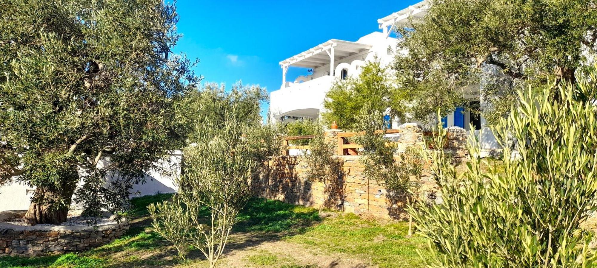Aspra Chomata Villas Karystos  Exterior photo