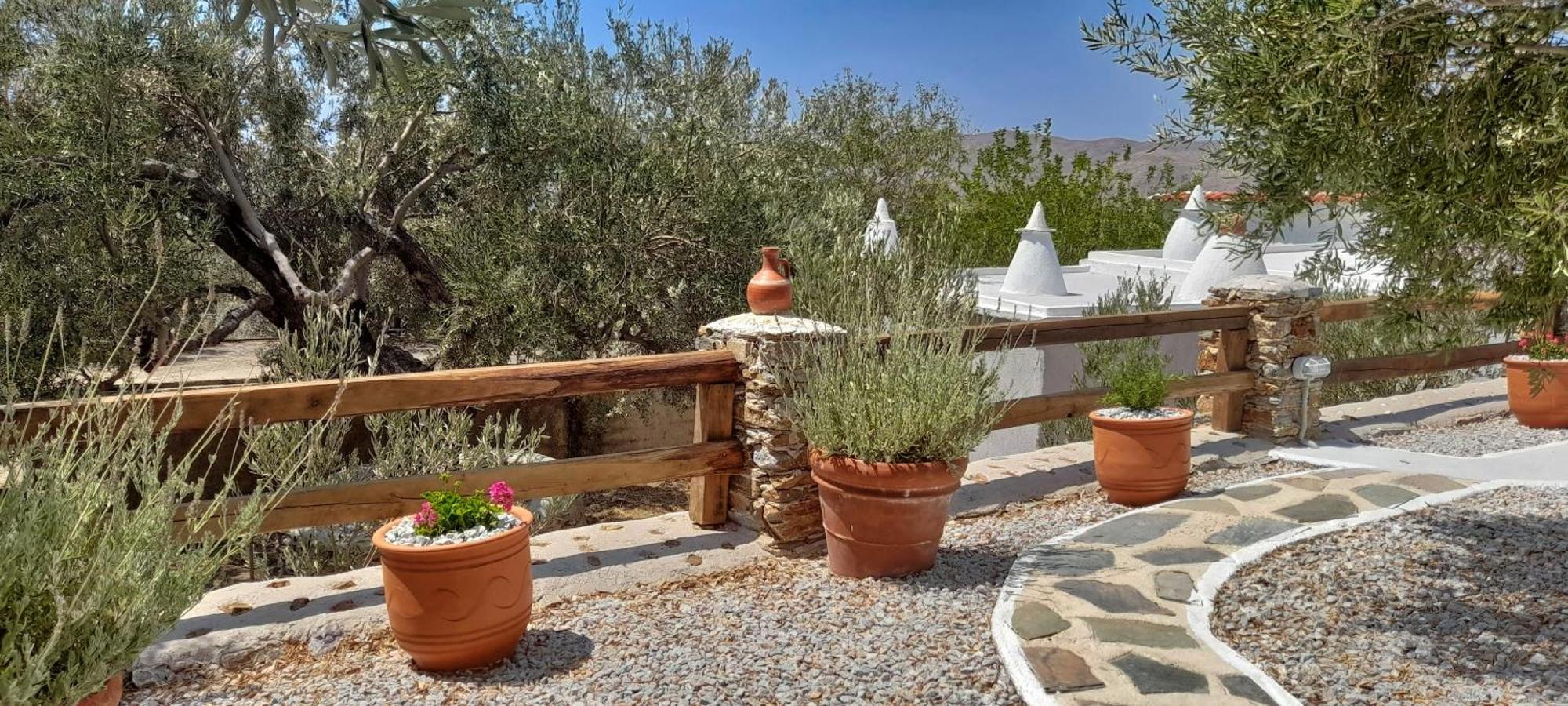 Aspra Chomata Villas Karystos  Exterior photo